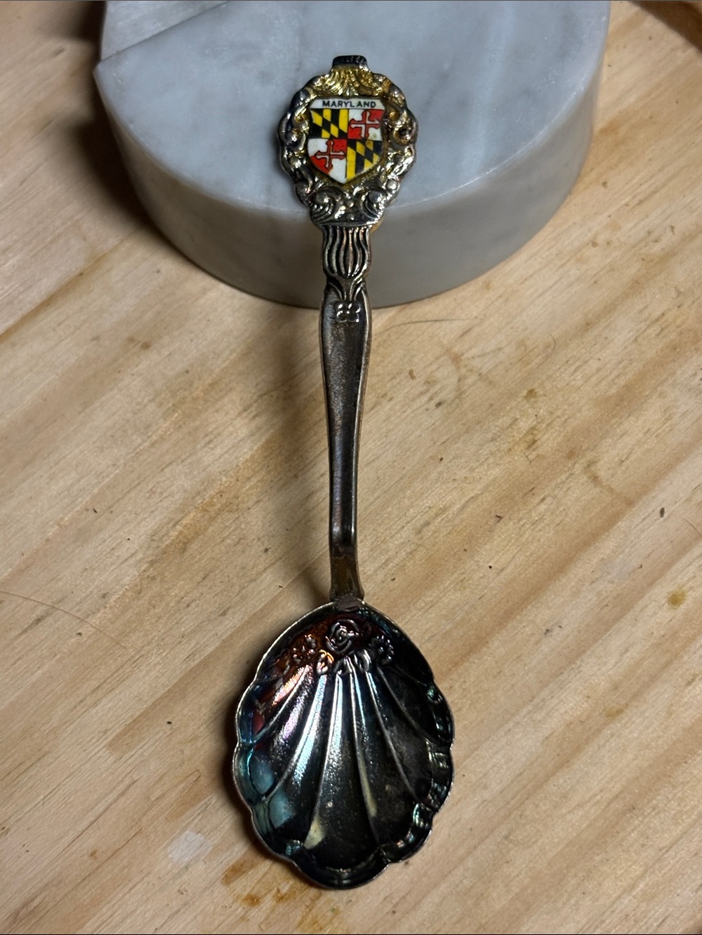 Maryland Shell-Pattern Collectible Spoon - Stainless Steel with Enamel Crest (v)